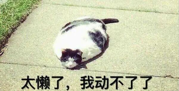 杭州新东方英语