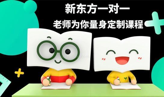 新东方一对一