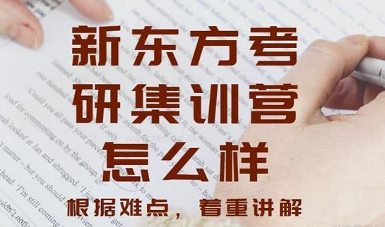 新东方考研集训营