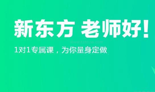 郑州新东方一对一