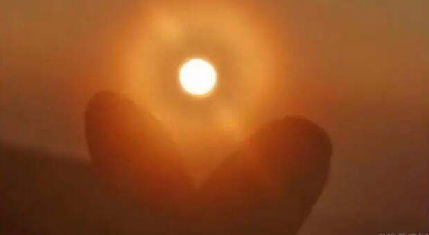 贵阳新东方学校