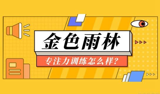 无锡金色雨林专注力训练怎么样？