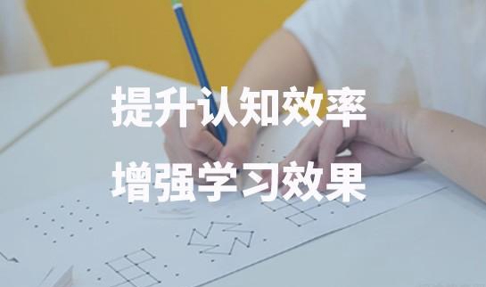 苏州金色雨林学费多少钱