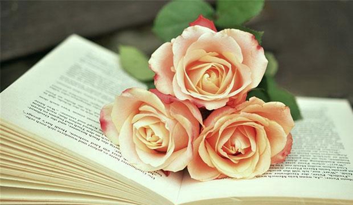 暑期过半 西安学大教育说做这几件事正当时