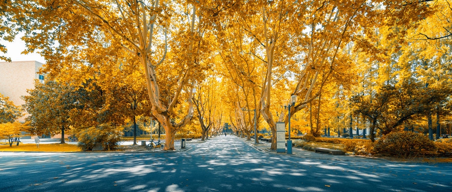 日语老师认真辅导