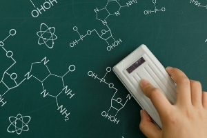 樱花日语课程特色