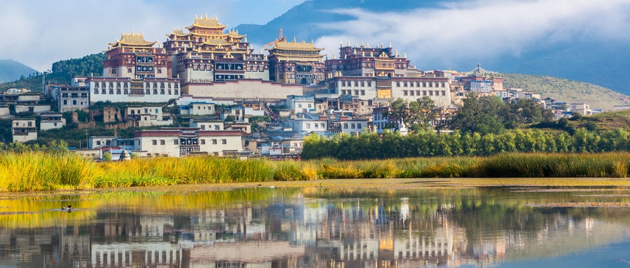 新东方留学线上择校