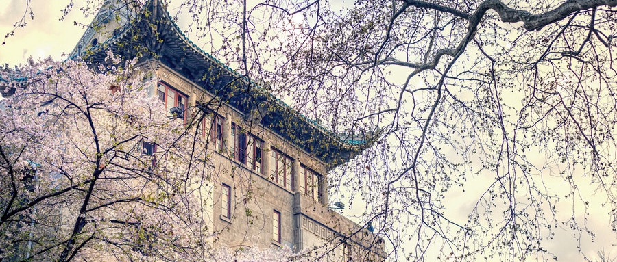 深圳新东方外语培训怎么样