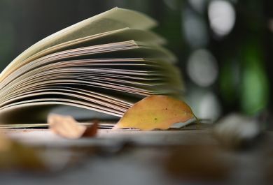 改變命運(yùn)較好步---來(lái)新東方開(kāi)啟完美留學(xué)之旅